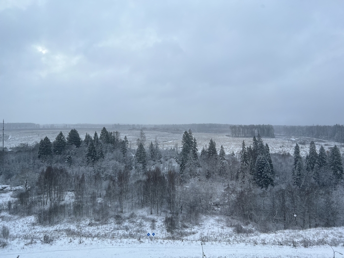 ��������� ����