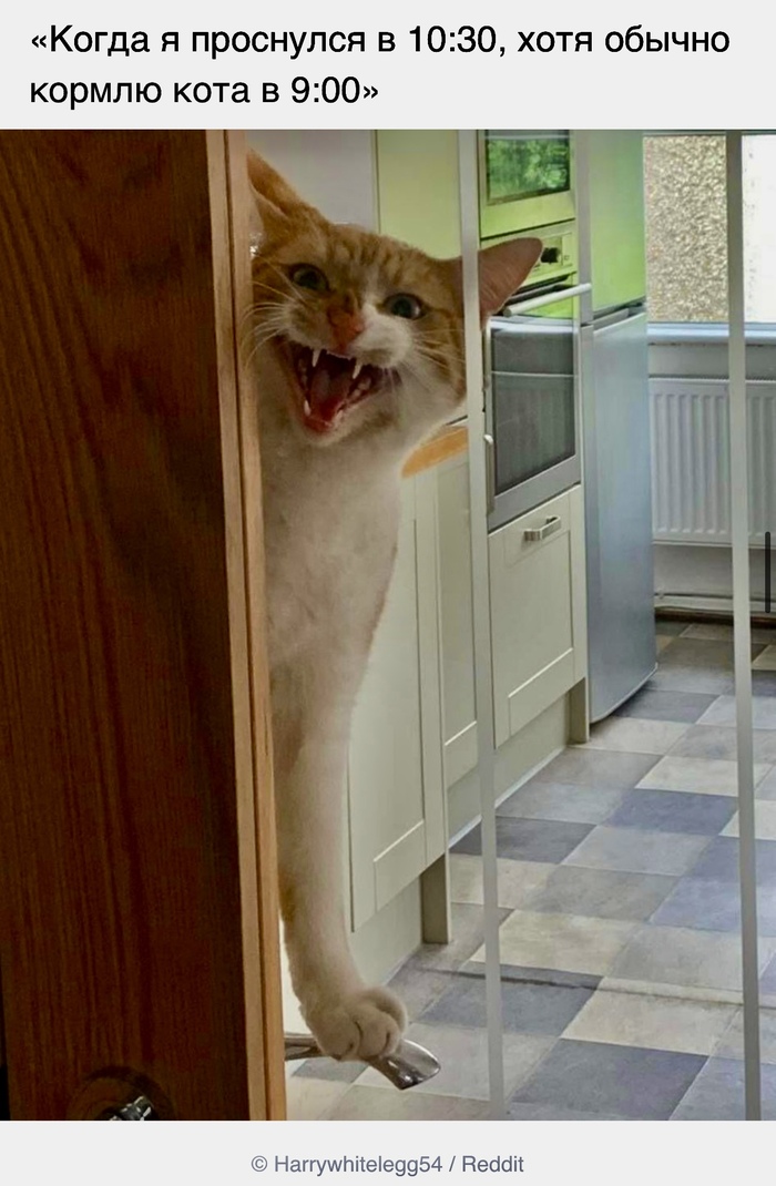 Безобразие