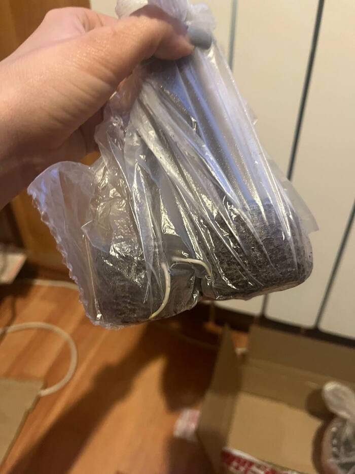 корни в таблетках. Я сначала даже думала, что это сорняк какой-то в таблетках приехал и пророс.