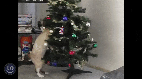   , , , 