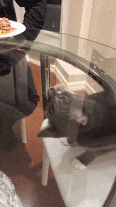   , , , 