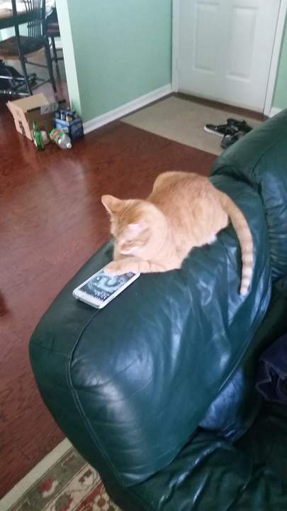 � ����� ������ ������ ������ ��� ������ �������