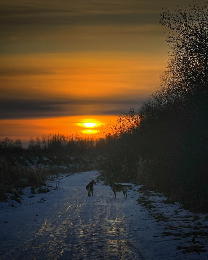 ���� � ���. ����� 2