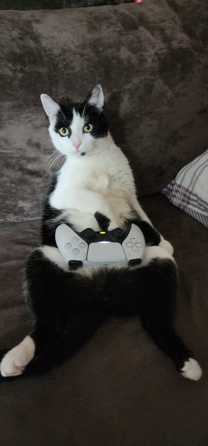       , 