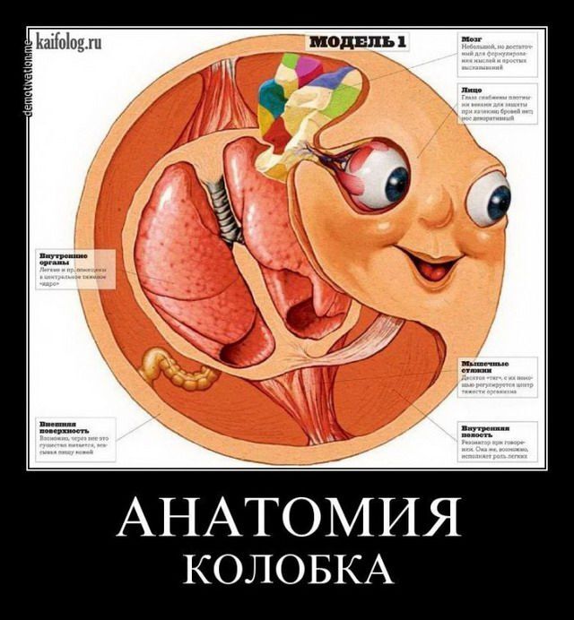     , , , , 