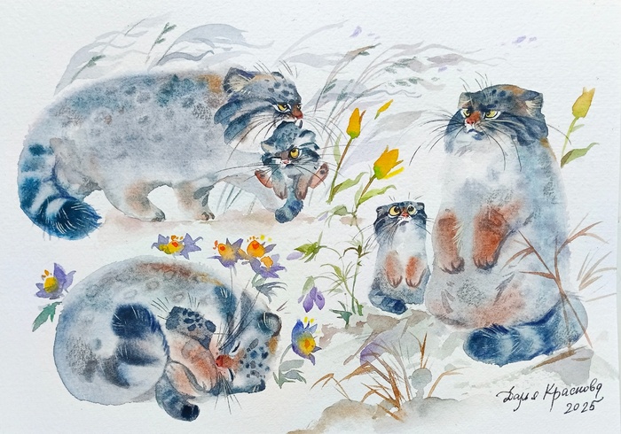 ������ �����