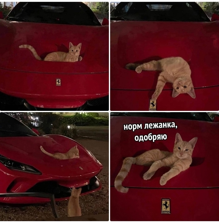 .  , Ferrari,   