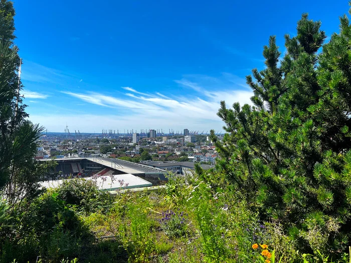 Hamburg Garden instead of a bomb shelter - Building, Architecture, Bomb shelter, Longpost