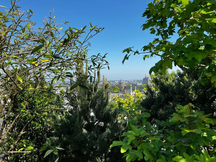 Hamburg Garden instead of a bomb shelter - Building, Architecture, Bomb shelter, Longpost