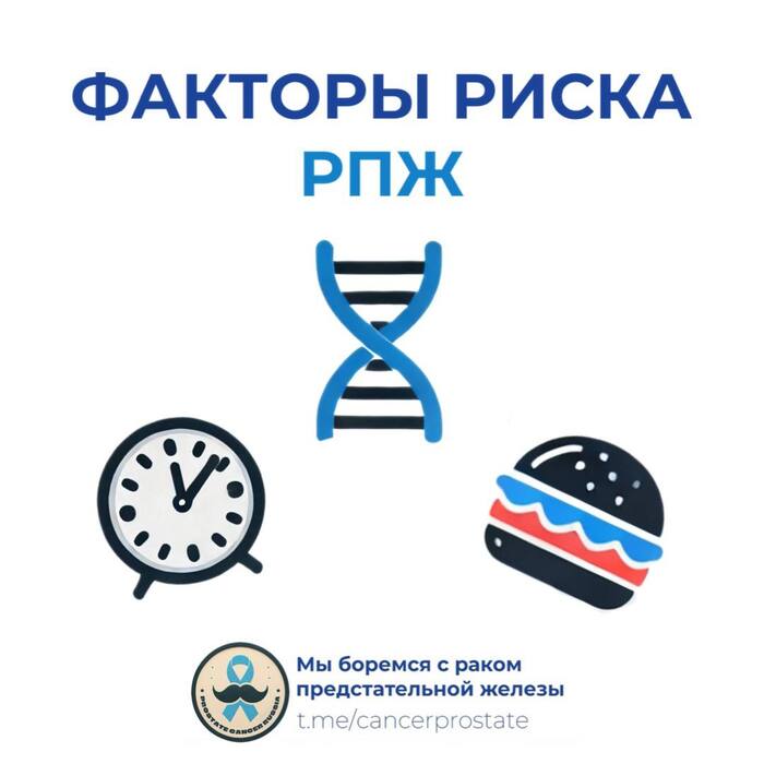 Факторы риска рака предстательной железы