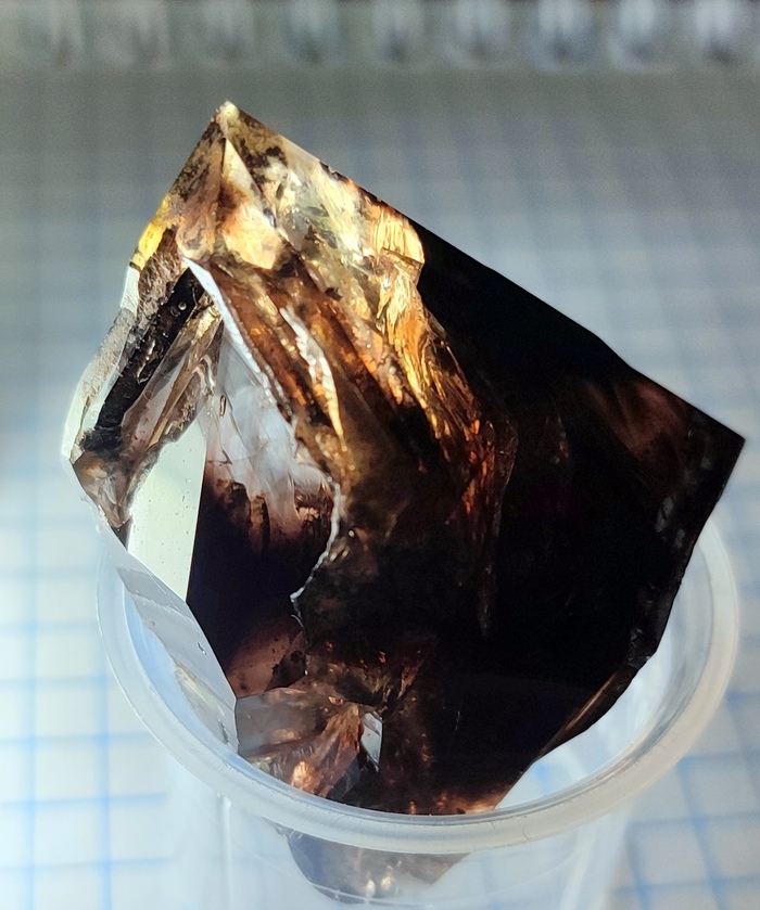 Двухголовые кристаллы кварца с включениями битумов и скелетным ростом граней. Башкирия, хребет Алатау. Из собрания автора