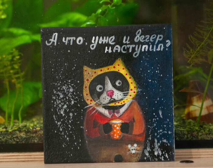 Котик в жёлтой шапочке