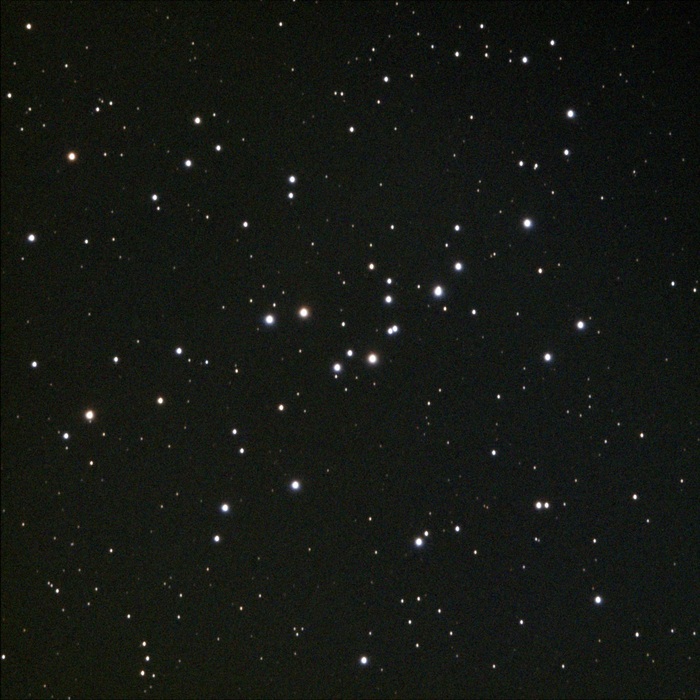    M48 (NGC 2548)   ,    ,       !