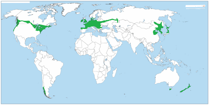 Страны, представляющие одну природную зону