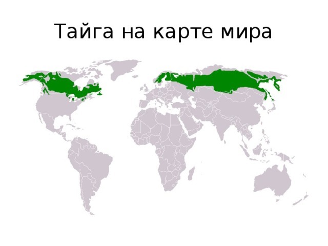 Страны, представляющие одну природную зону