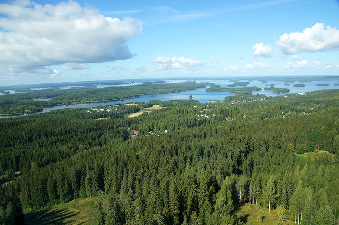 Финская тайга в июле и январе