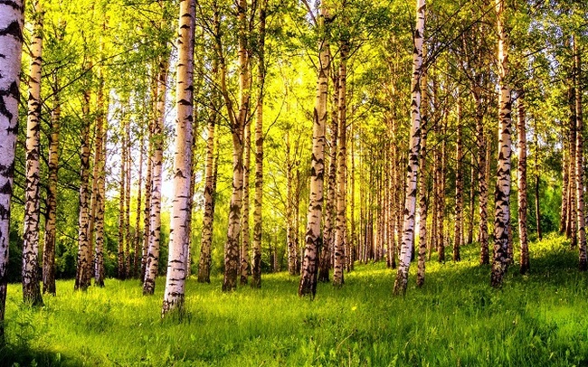 Что-то вроде этого