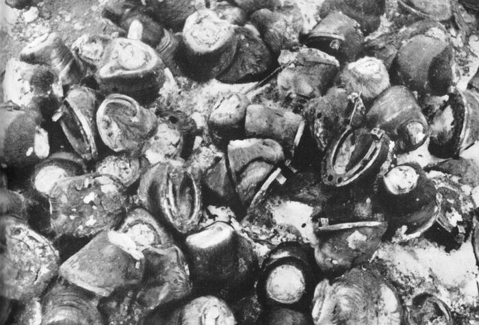 Гора копыт лошадей, съеденных окруженными в Сталинграде немцами. Фото - Георгий Зельма