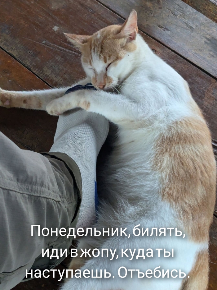    , , , 