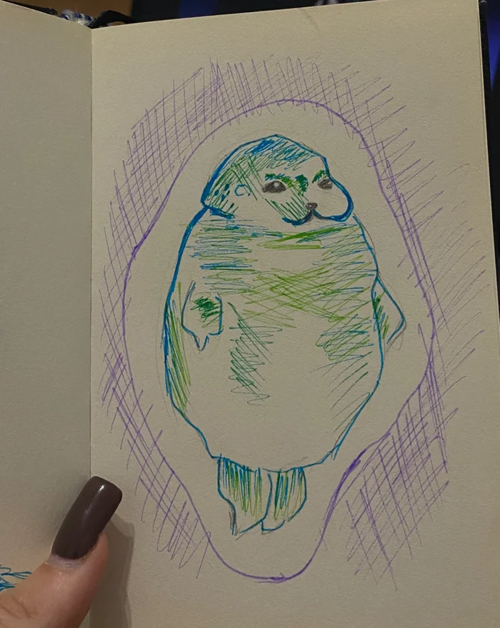 Maybe a drawn seal will lift your spirits) - My, Milota, Images, Pen drawing, Seal, Sketch, Sketch