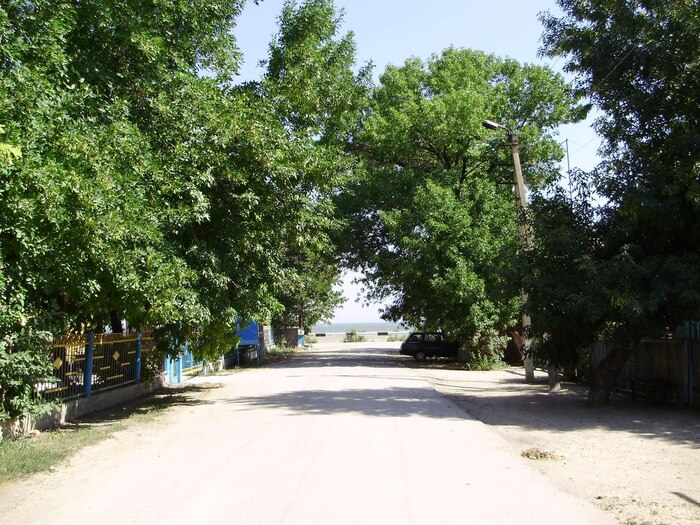 ���� ������