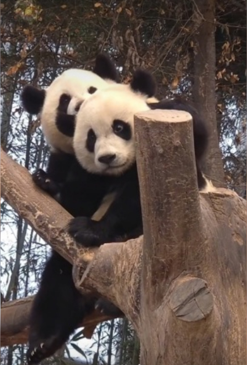 Кому милоты в ленту?:):)