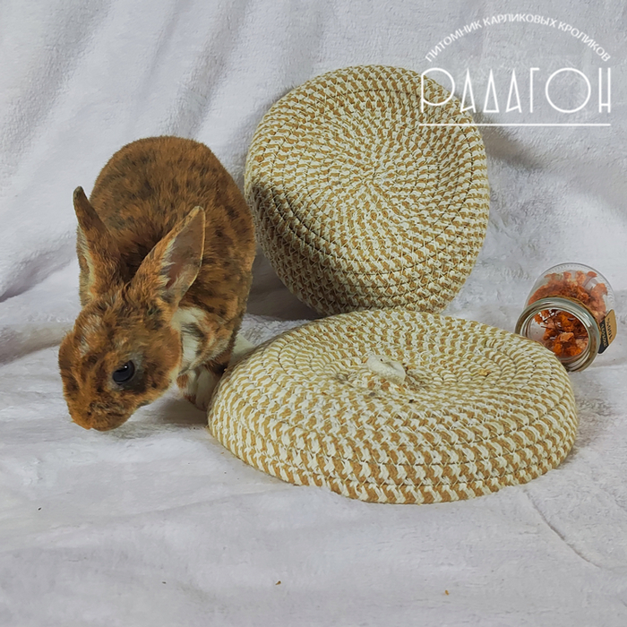 Горчица (нюхает)