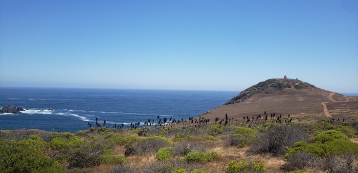 ��� �� ���� �������� 