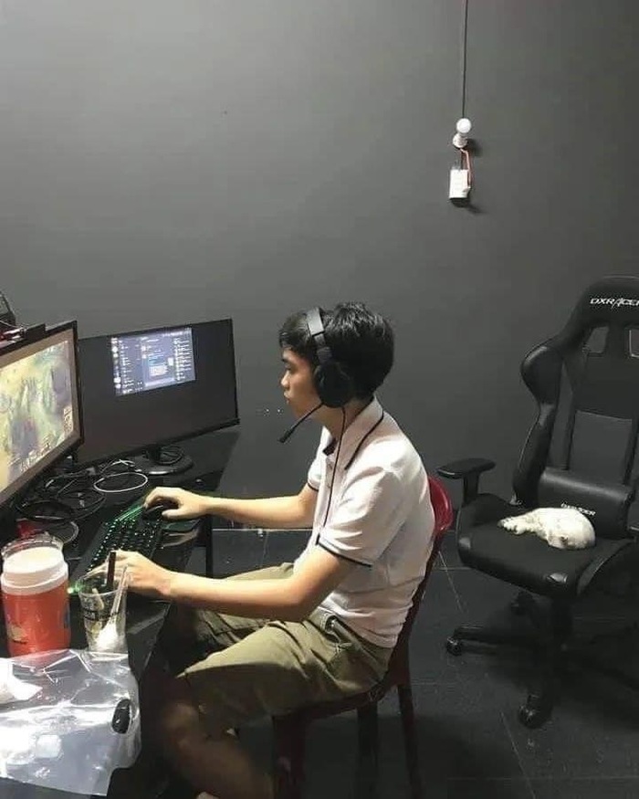   -  ,  