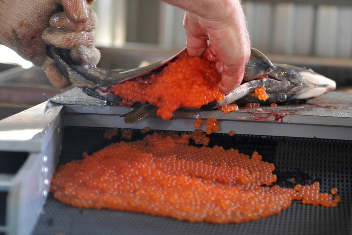      :     .  ,          !