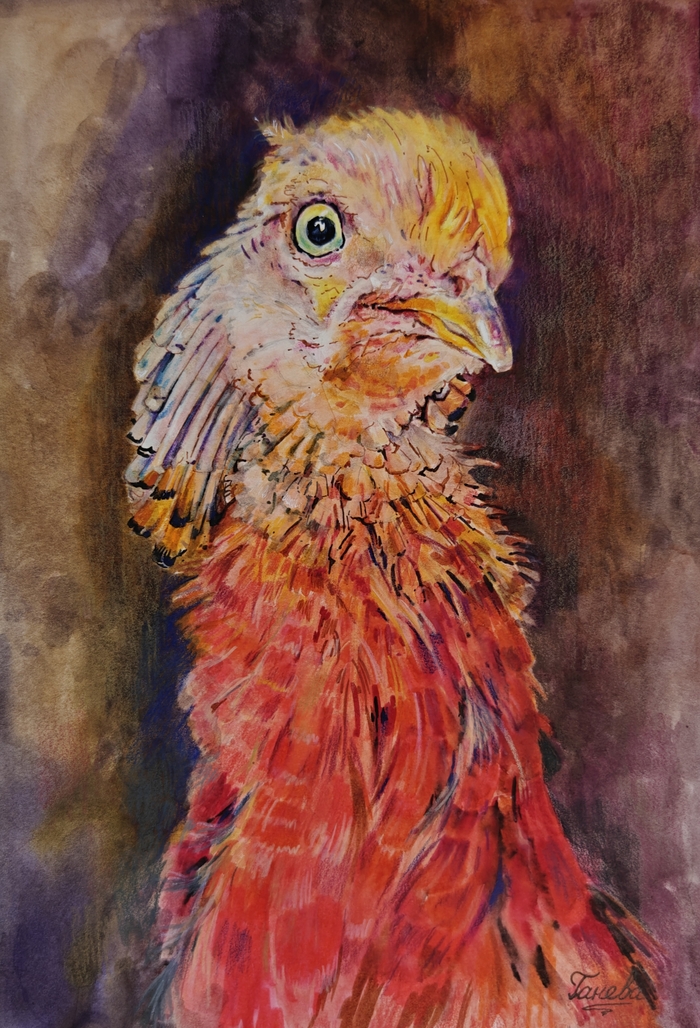 " " , , , , ,  , , ,  , 