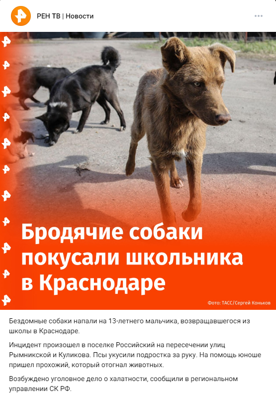 Ответ на пост «Просто наболело»