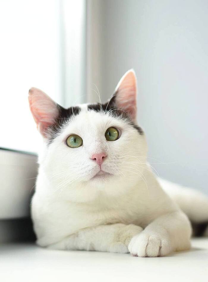      , ,   , ,  , , ,  , , ,  ,  , 
