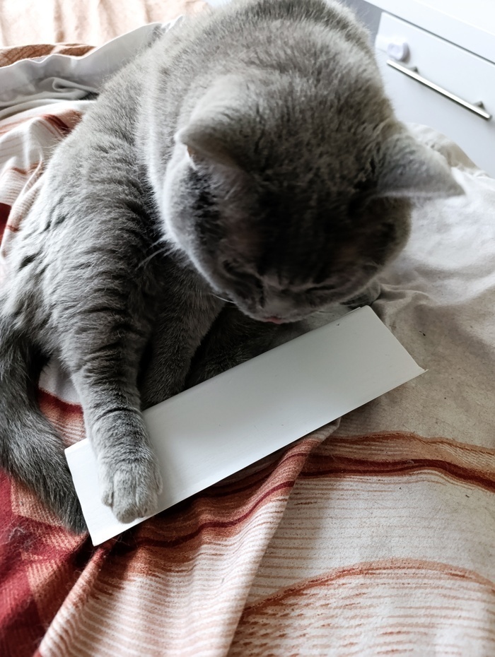   , , , ,  ,  ,  , 