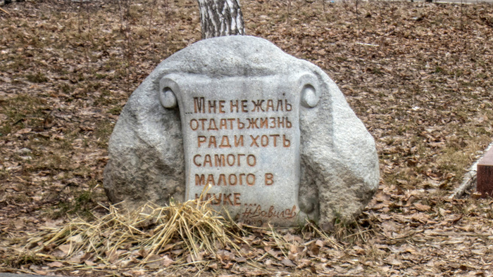 Памятник Н. Вавилову в г. Саратове