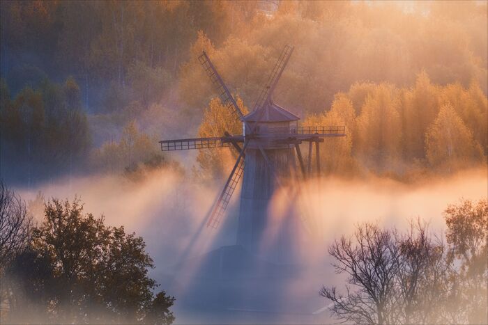 Рассвета золотые струны