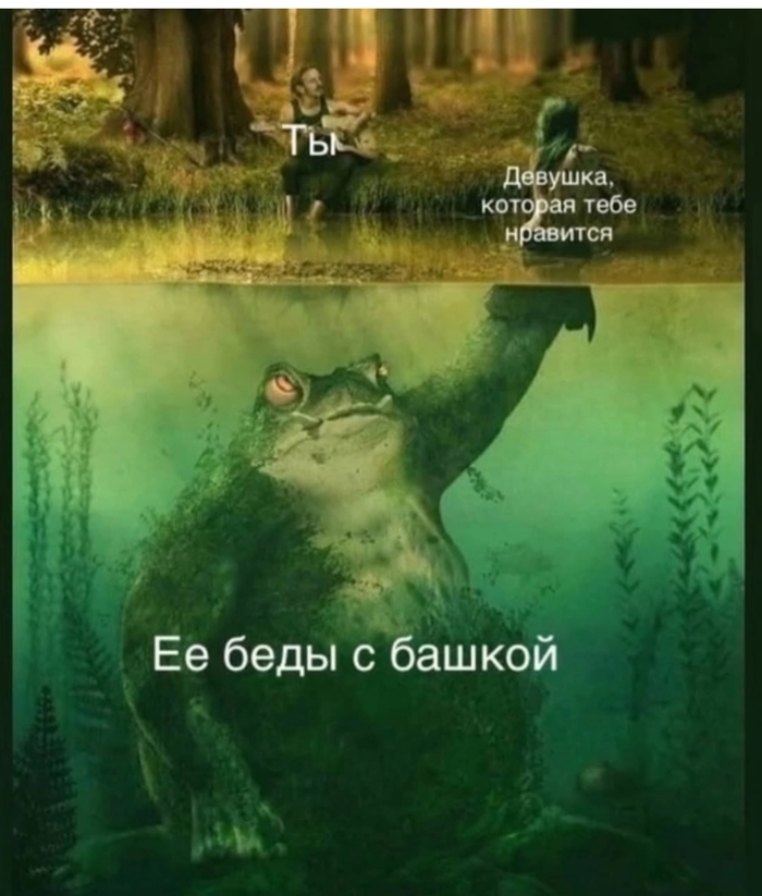   (). ,       ,        , , , 