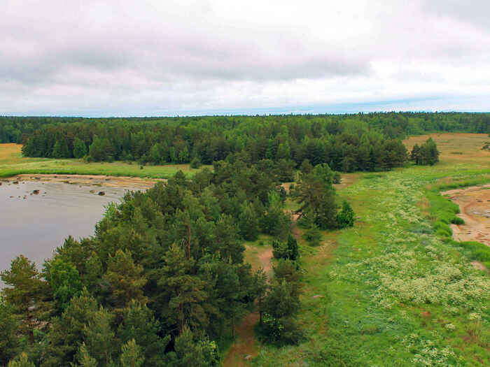 Кургальский заказник, Ленинградская область. Фото с сайта <!--noindex--><a href="https://pikabu.ru/story/ramsarskie_ugodya_12337562?u=http%3A%2F%2Ftourister.ru&t=tourister.ru&h=e2449aff13ede909b0fa3fa71c4c63b006fedd72" title="http://tourister.ru" target="_blank" rel="nofollow noopener">tourister.ru</a><!--/noindex-->.