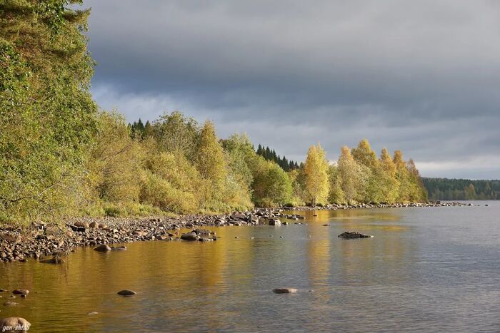 В дельте реки Свирь, Ленинградская область. Фото с сайта <!--noindex--><a href="https://pikabu.ru/story/ramsarskie_ugodya_12337562?u=http%3A%2F%2Fanodkatod.ru&t=anodkatod.ru&h=ea7f9b912046e05bea3fd02012e3c4d587832d79" title="http://anodkatod.ru" target="_blank" rel="nofollow noopener">anodkatod.ru</a><!--/noindex-->.