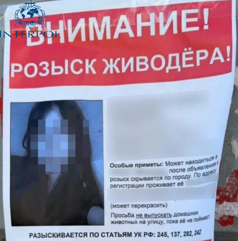 ���������� �������� ������� ����������� ��������� ������������ ������������������ ������� �� ���