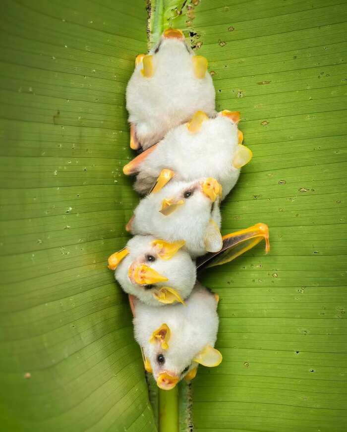  , ,  ,  ,  ,  , , 