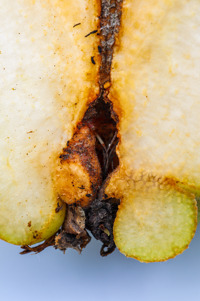 Тут вообще какие то заросли.