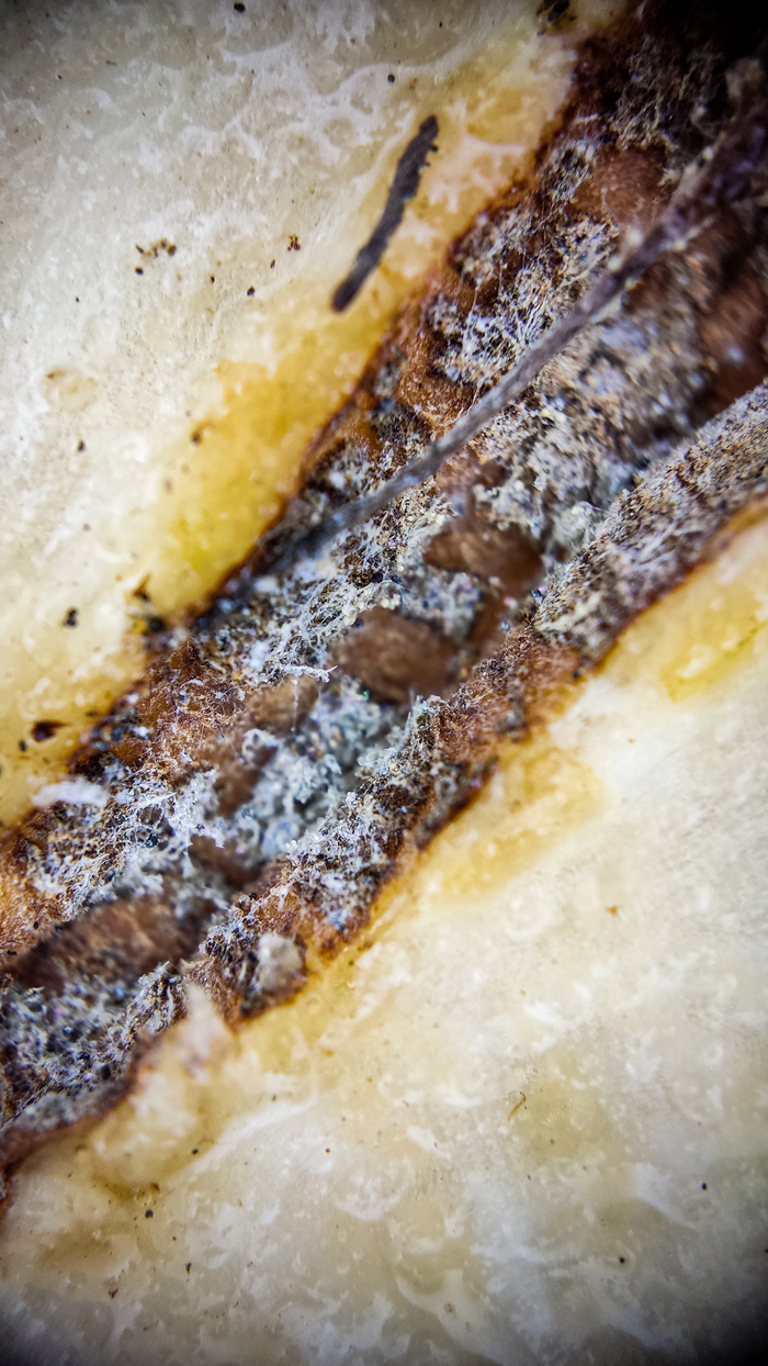 Свой микромир