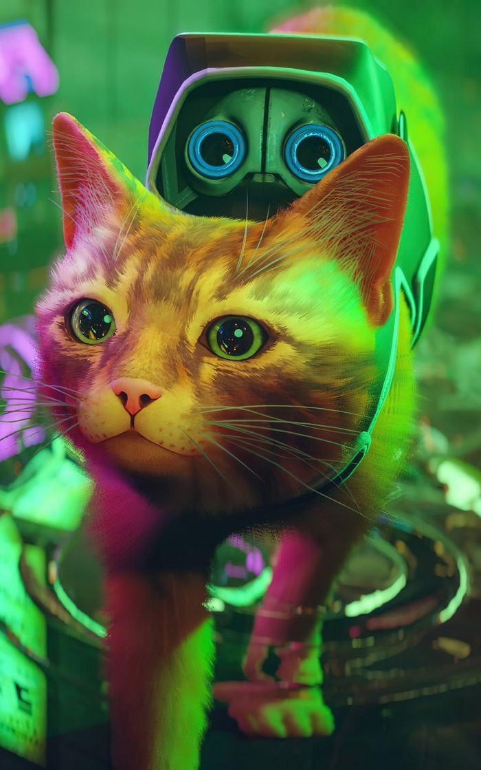 " ".   "Stray",  3.  , Stray, , , , 