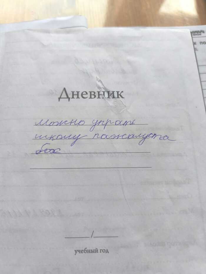 Просьба второкласника