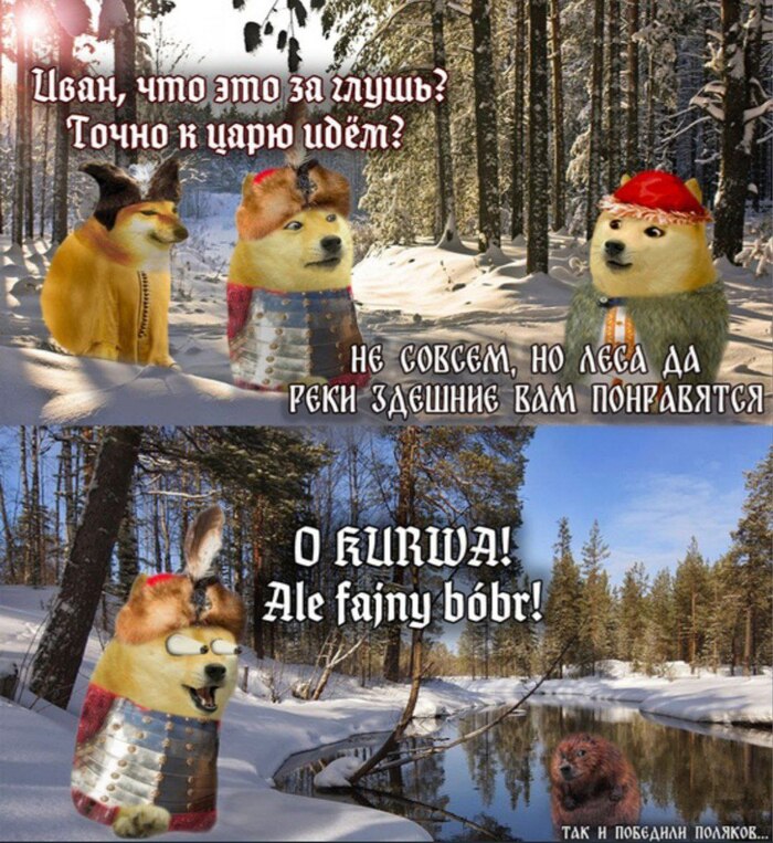  , , ,  , ,   