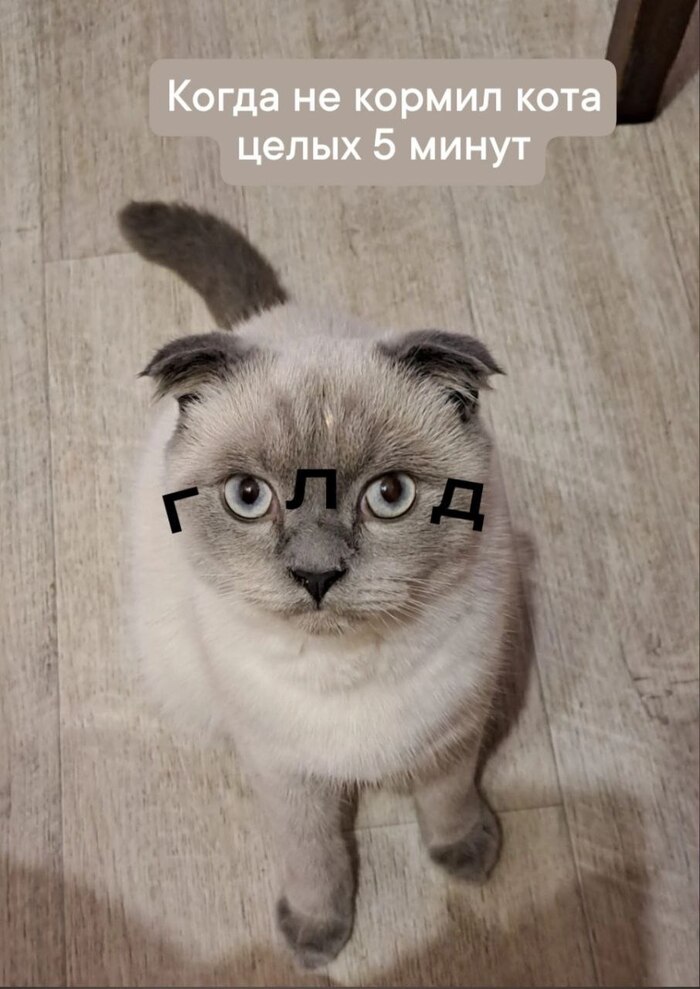 12     , ,  ,    ,   , 