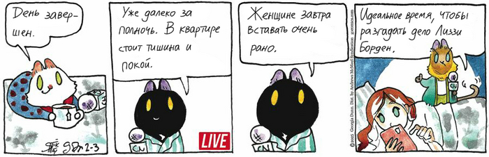 Котейкины Новости от 03.02.2025