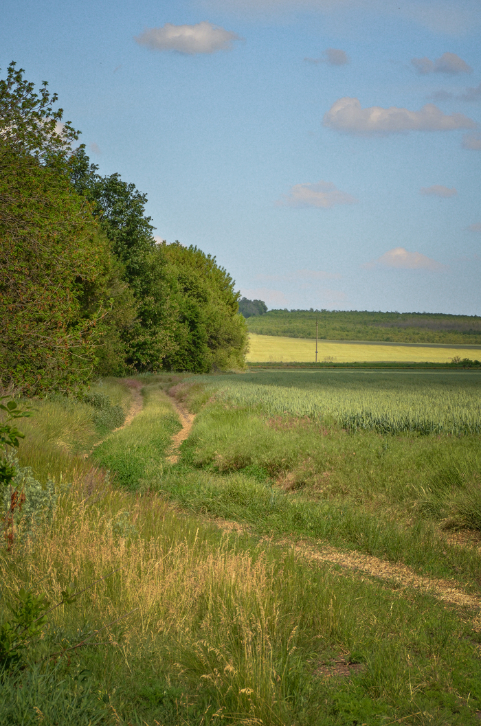     Nikon,  , , , , ,  , Tamron, ,  , , , 