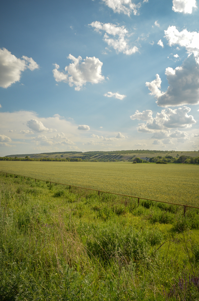Перед нами открывается бескрайнее поле, окруженное зелеными холмами и залитое солнечным светом. Это место, где природа словно останавливает время, и вся суета мира остается позади.